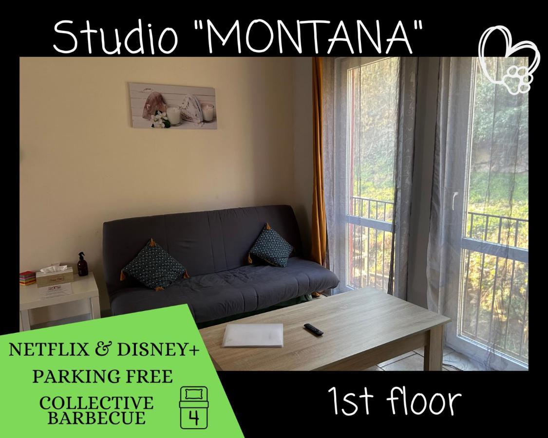L'Arizona Dinant - Studio Montana - Barbecue, Free Parking, Dog Ok 外观 照片